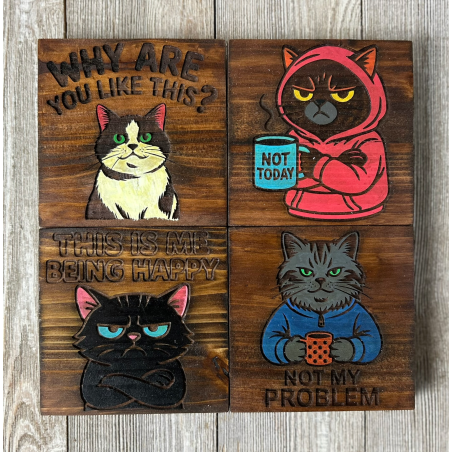 Sarcastic Cat Drink Coasters (Single Coaster)