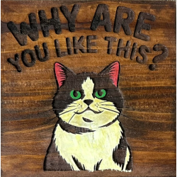 Sarcastic Cat Drink Coasters (Single Coaster)
