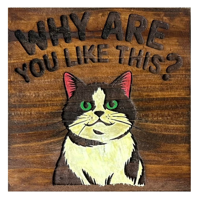 Sarcastic Cat Drink Coasters (Single Coaster)